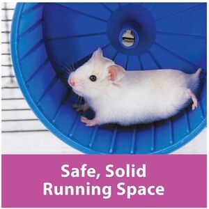 Blue Small Pet Exercise Wheel - Safe Running Space